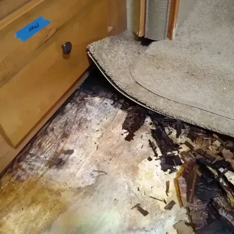 Best Wood Floor Water Damage Service in Summit County, CO